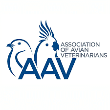 AAV