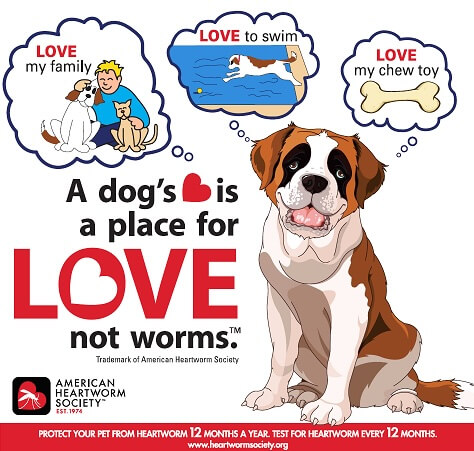 Heartworm-disease