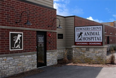 downers-grove-animal-hospital-location