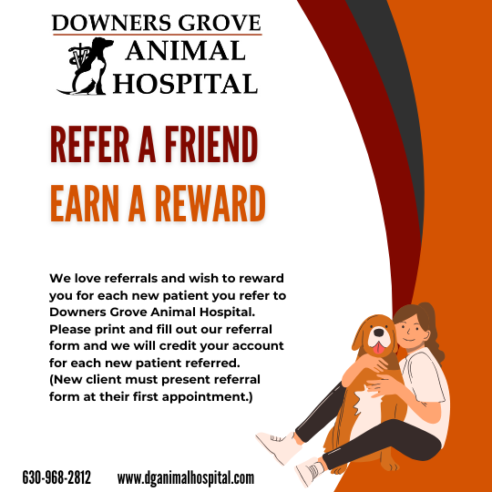 Refer a Friend